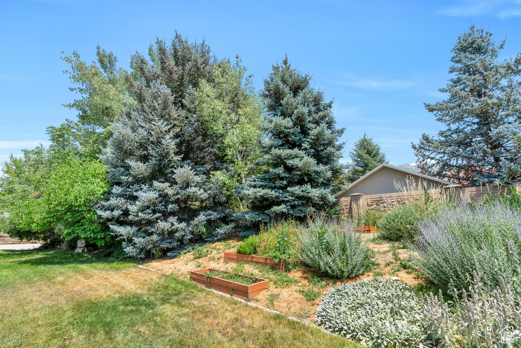 View of grassy yard featuring a garden