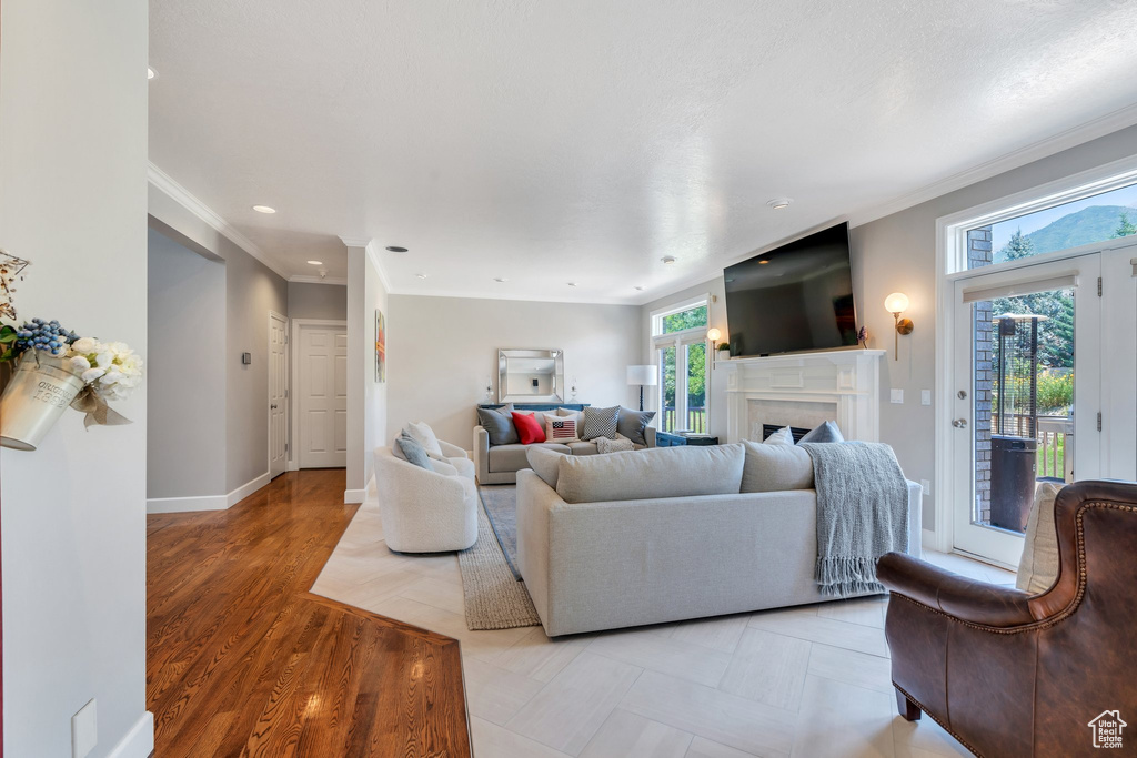 Living area with ornamental molding, a fireplace, and recessed lighting