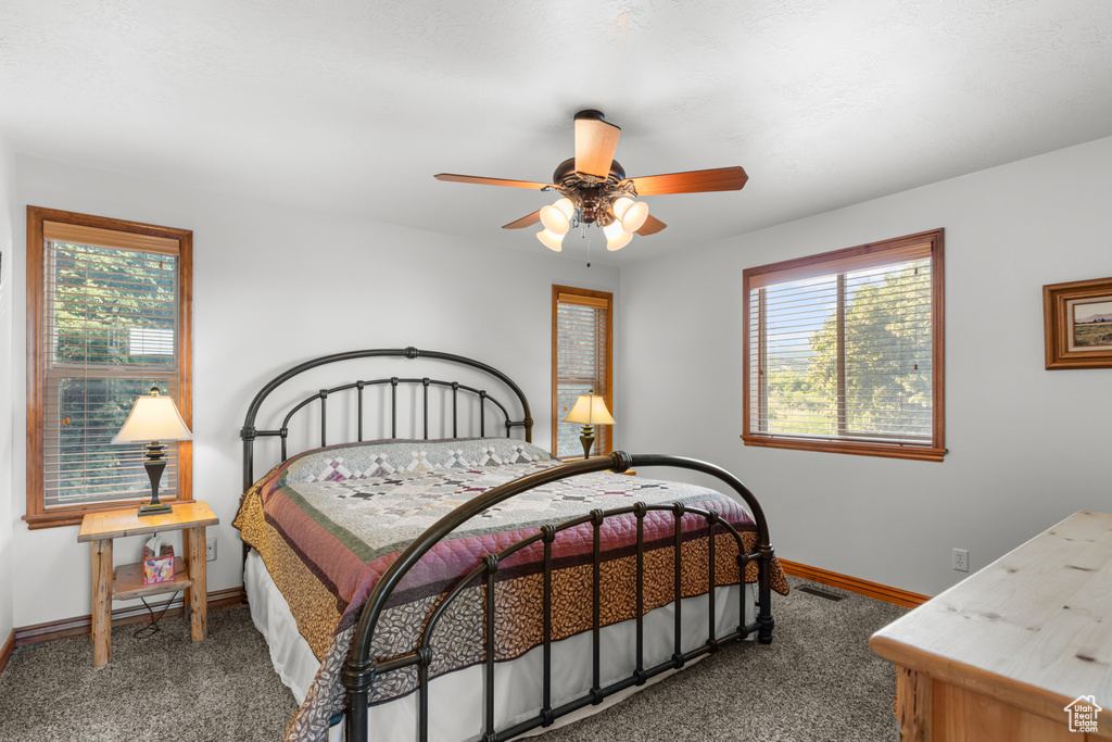 Carpeted bedroom featuring multiple windows and ceiling fan