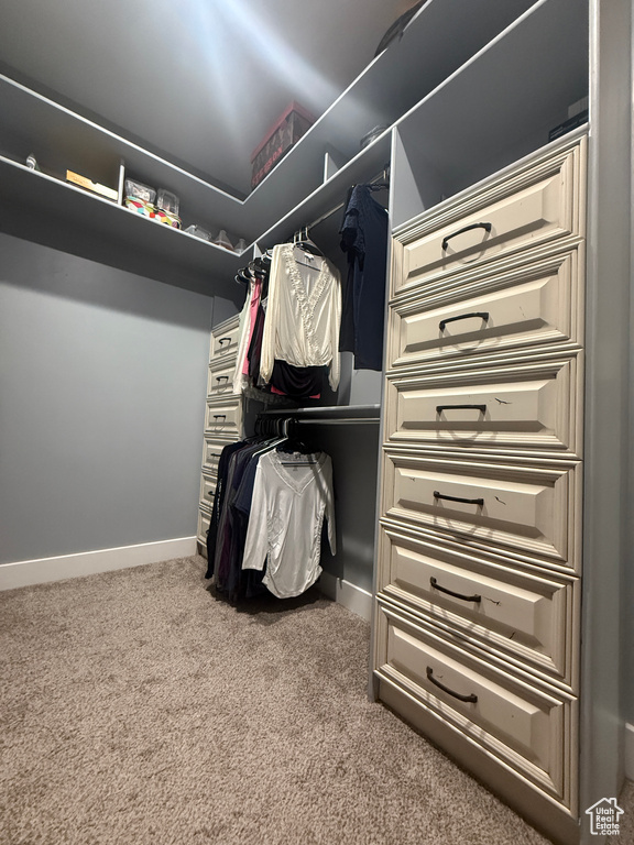 Spacious closet featuring carpet