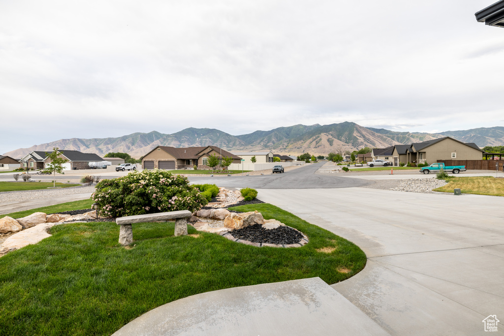 View of yard with a mountain view, a residential view, and curved driveway