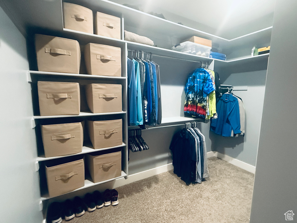 Walk in closet featuring carpet flooring
