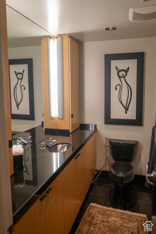 Bathroom featuring a sink and toilet