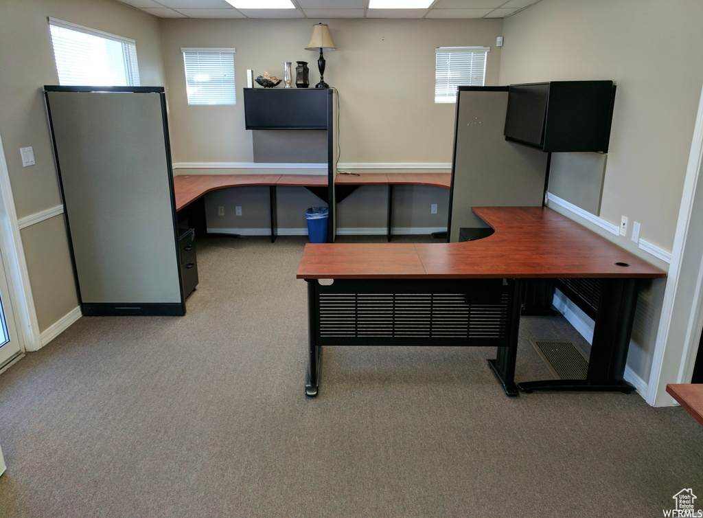 Office area featuring a drop ceiling, light colored carpet, and plenty of natural light