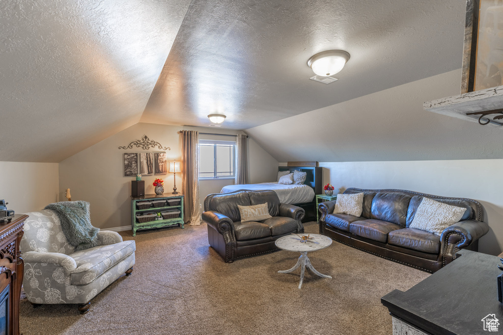 Carpeted bedroom with a textured ceiling and lofted ceiling