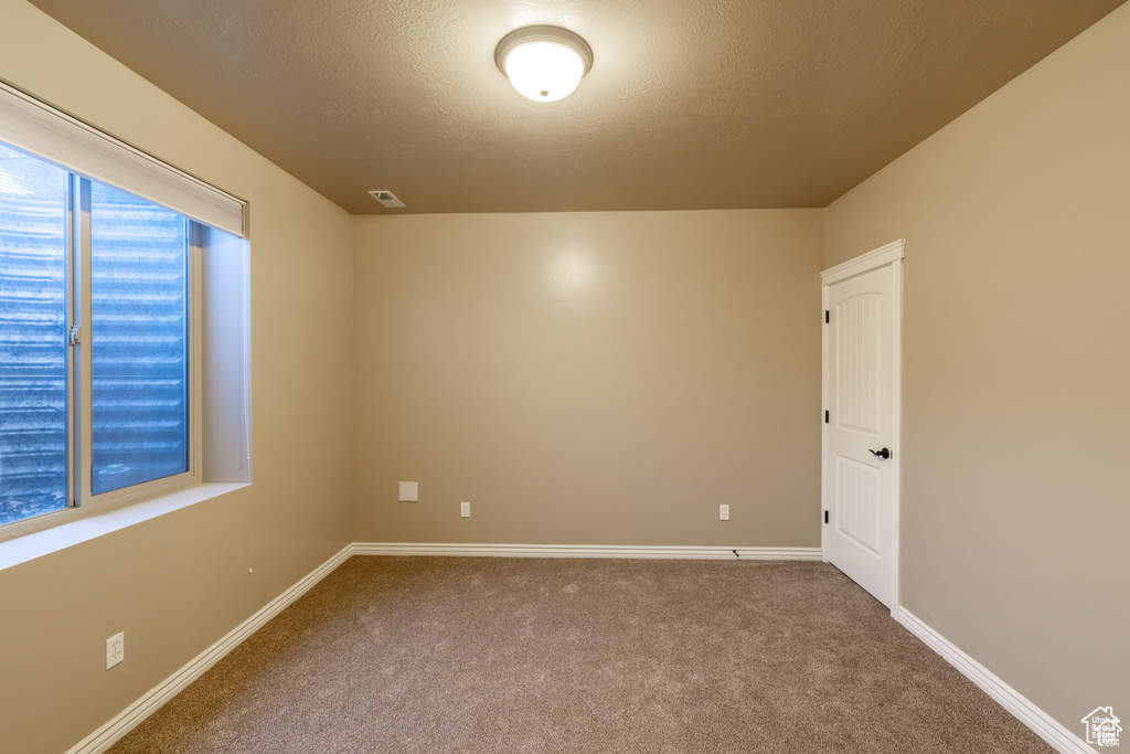 Unfurnished room featuring carpet flooring and a textured ceiling