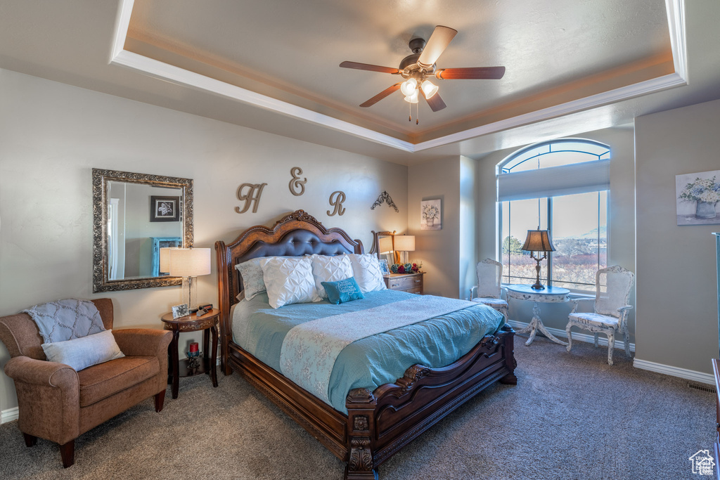 Bedroom featuring a tray ceiling, carpet floors, and a ceiling fan