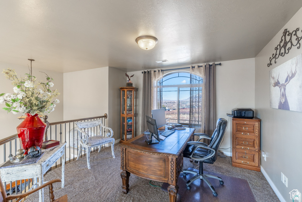 Carpeted home office with baseboards