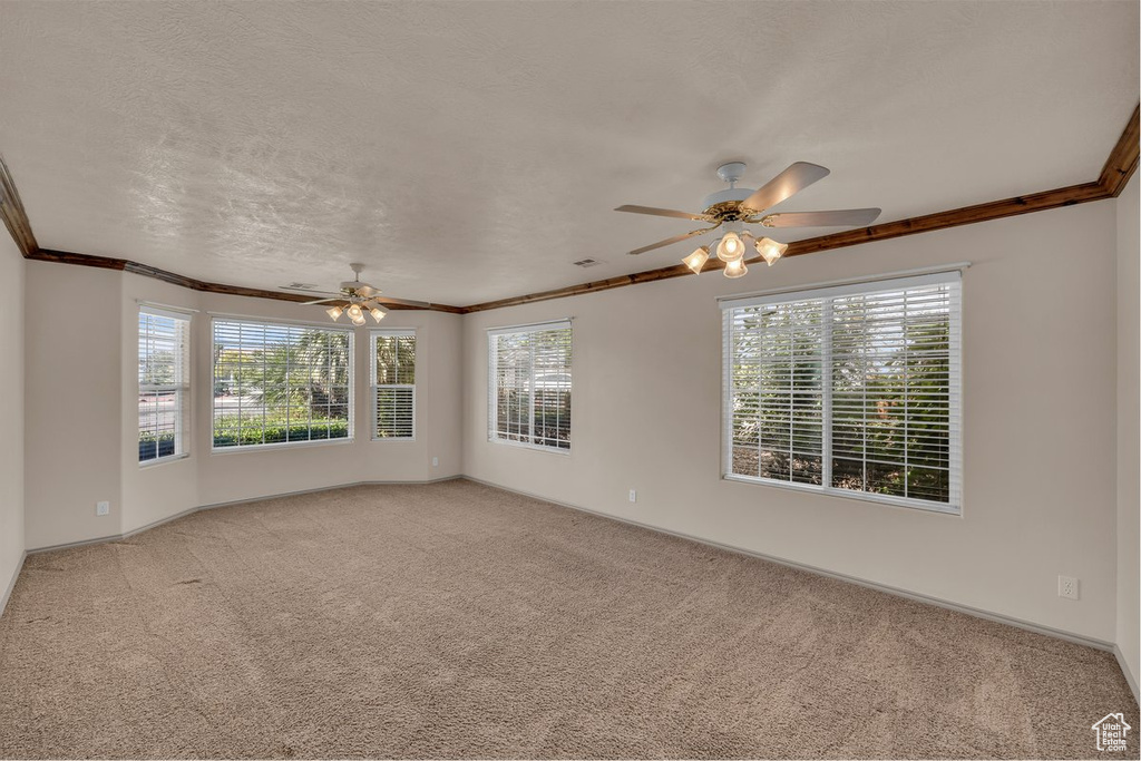 Carpeted empty room featuring a ceiling fan, plenty of natural light, and ornamental molding