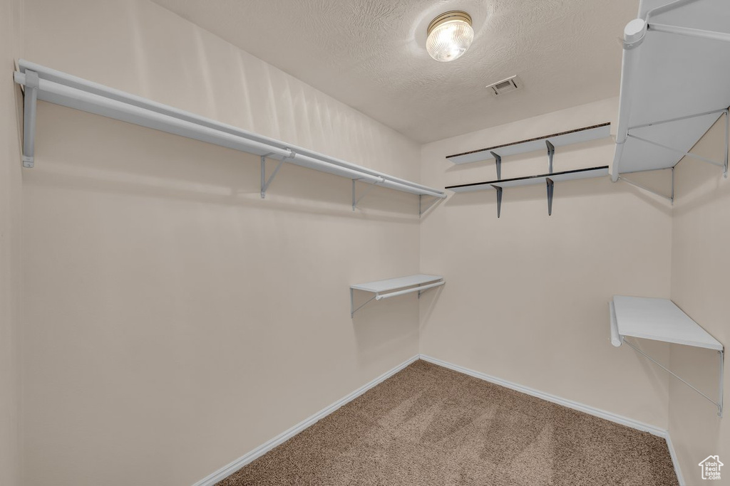 Spacious closet featuring carpet flooring