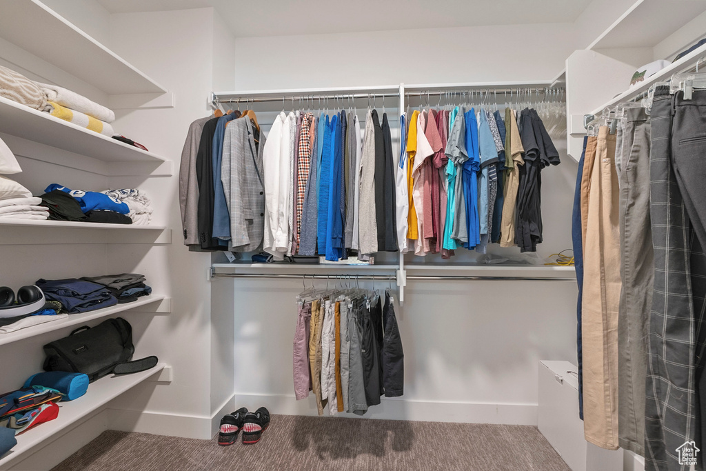 Spacious closet with carpet floors