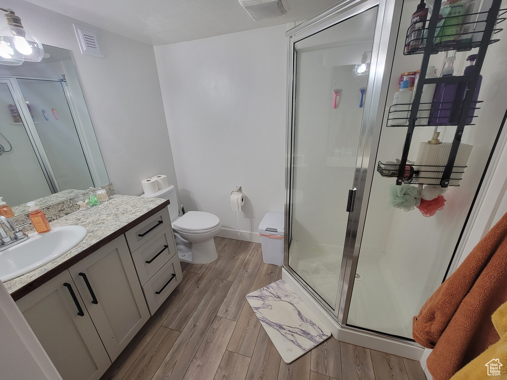 Bathroom featuring vanity, a stall shower, and wood finished floors