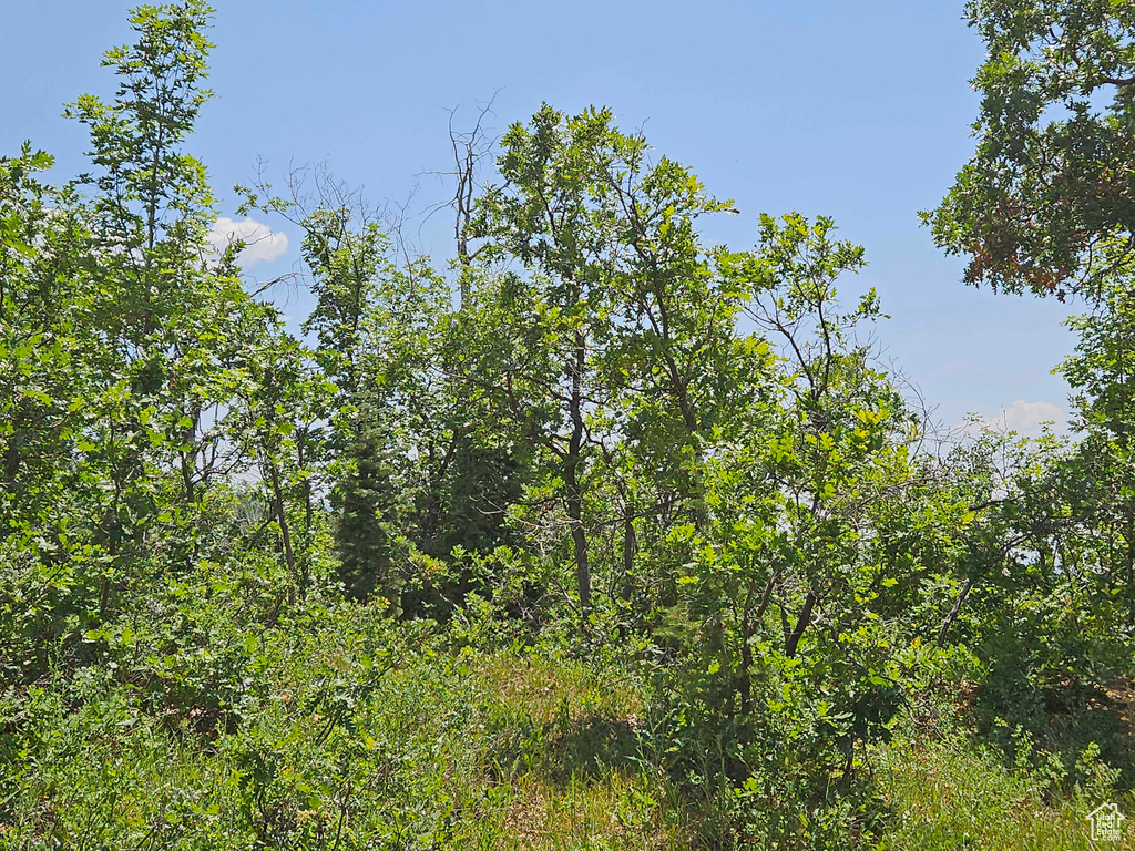 View of nature
