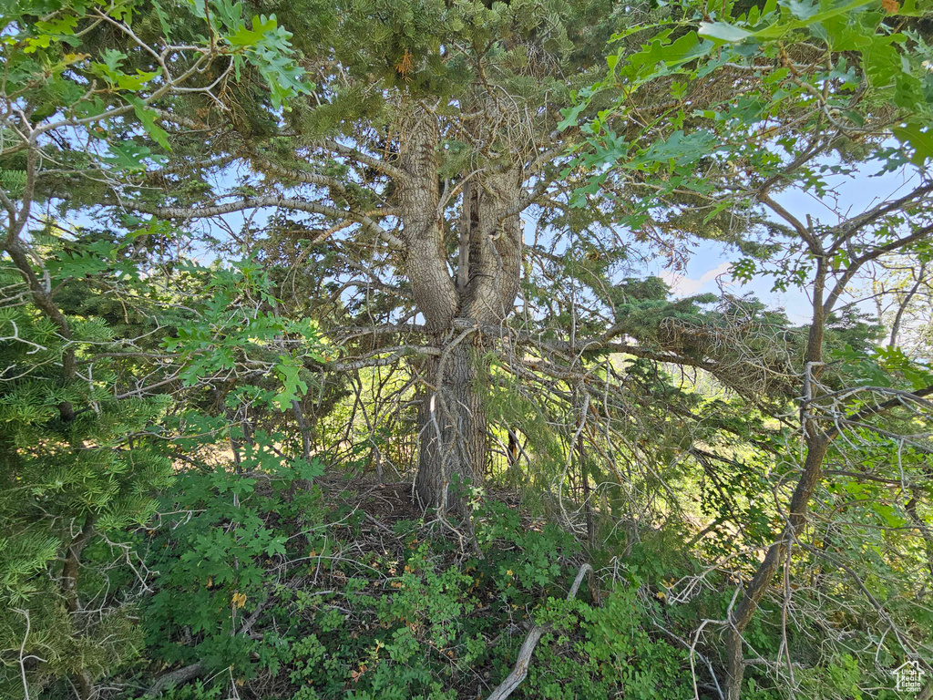 View of undeveloped land
