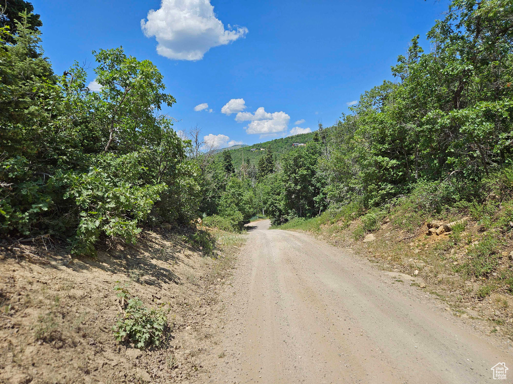 View of dirt / gravel road featuring a forest view
