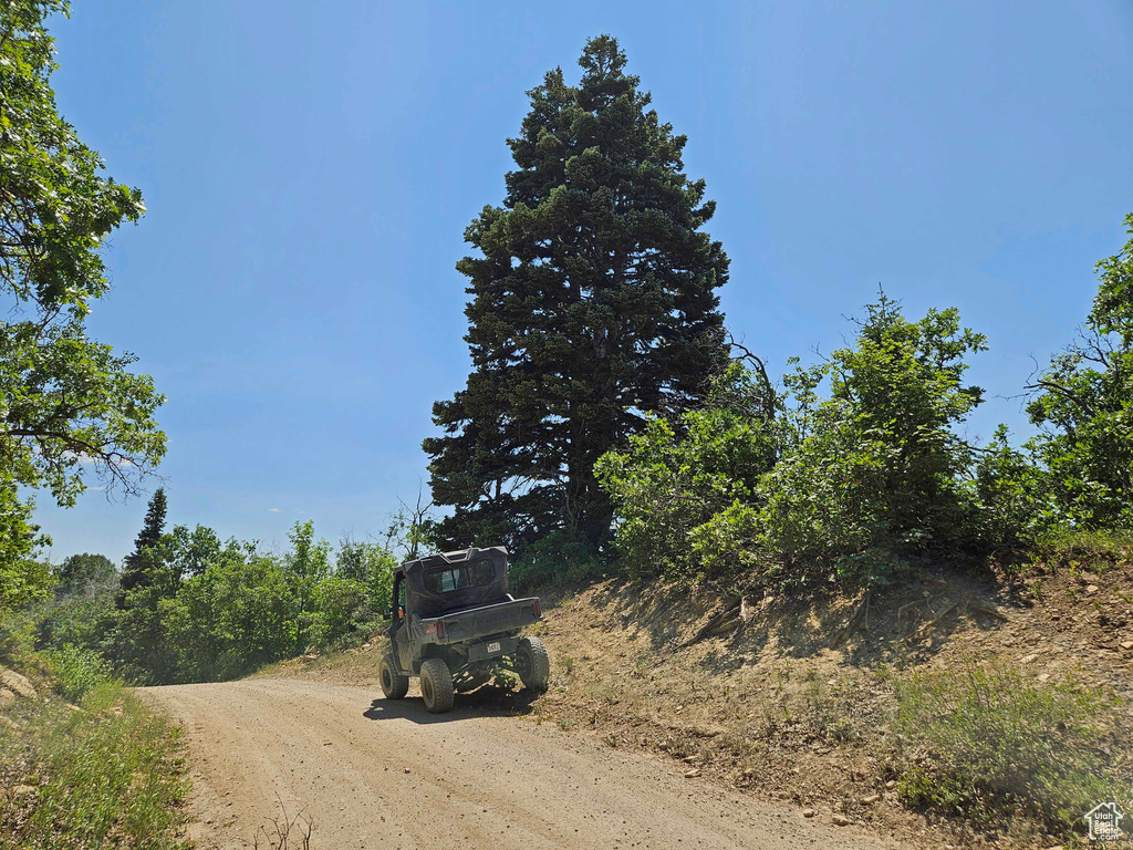 View of dirt / gravel road