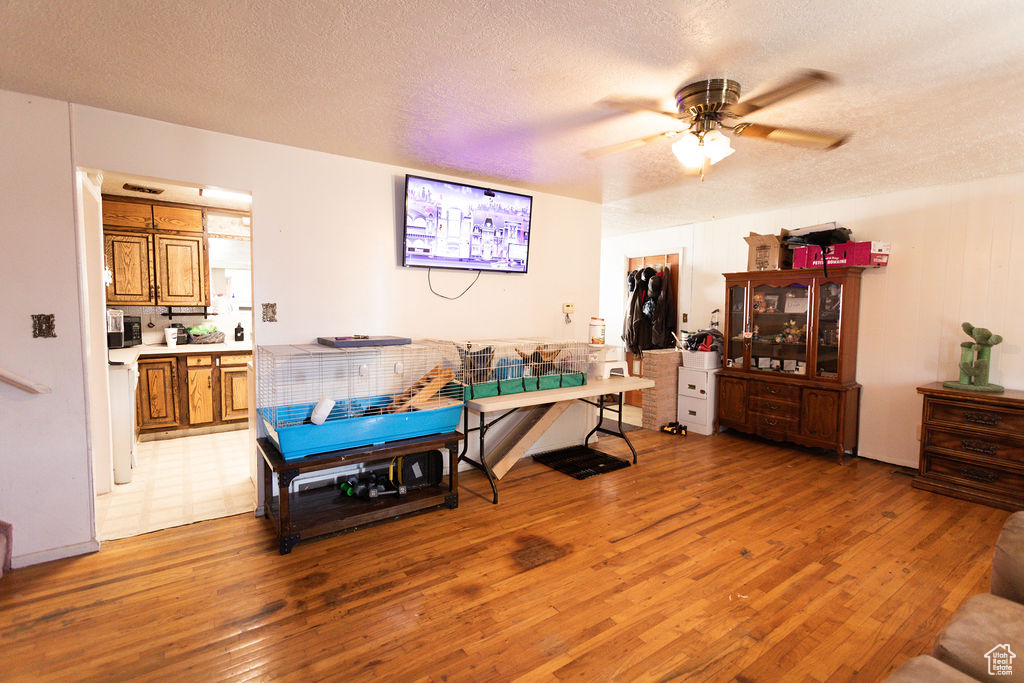 Living area featuring light wood-style floors, a ceiling fan, and a textured ceiling