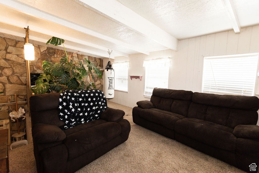 Living area featuring beamed ceiling, carpet flooring, and a textured ceiling