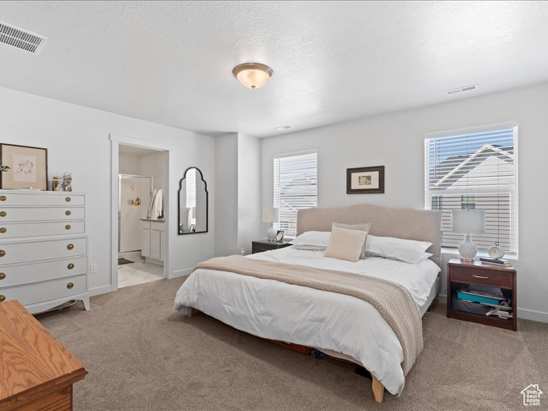 Bedroom with light colored carpet and ensuite bathroom
