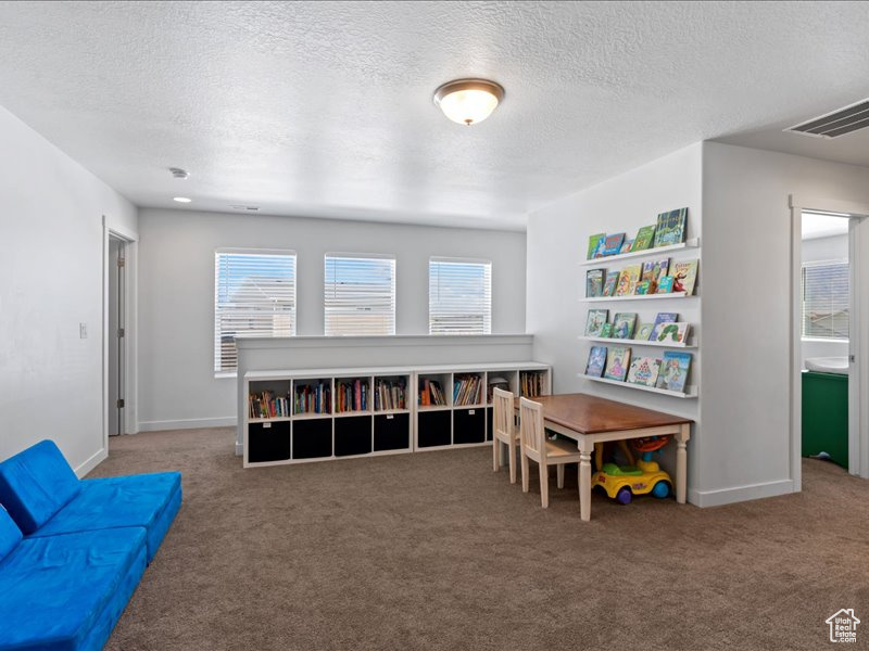 Playroom with carpet floors and a textured ceiling