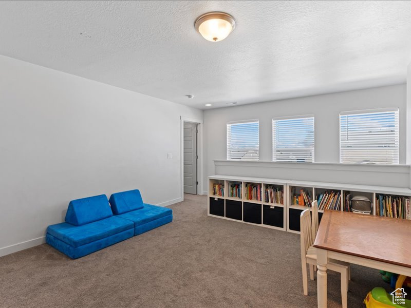 Sitting room featuring carpet and a textured ceiling