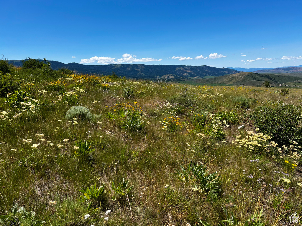 35  LOOKOUT CIR Soda Springs, ID 83276