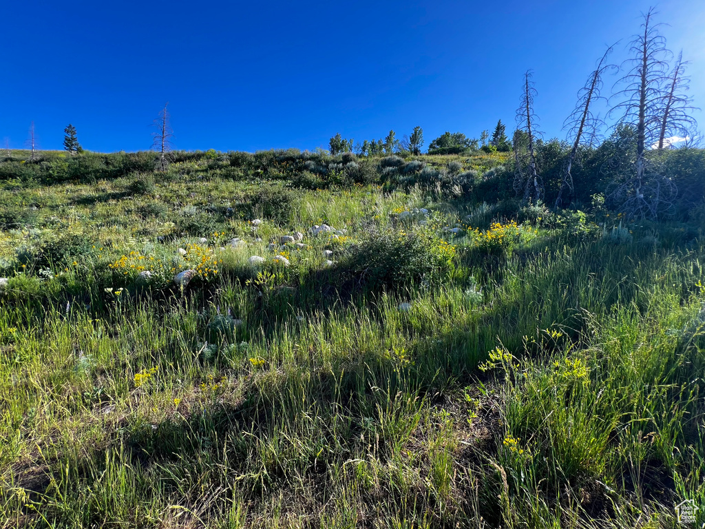 35  LOOKOUT CIR Soda Springs, ID 83276