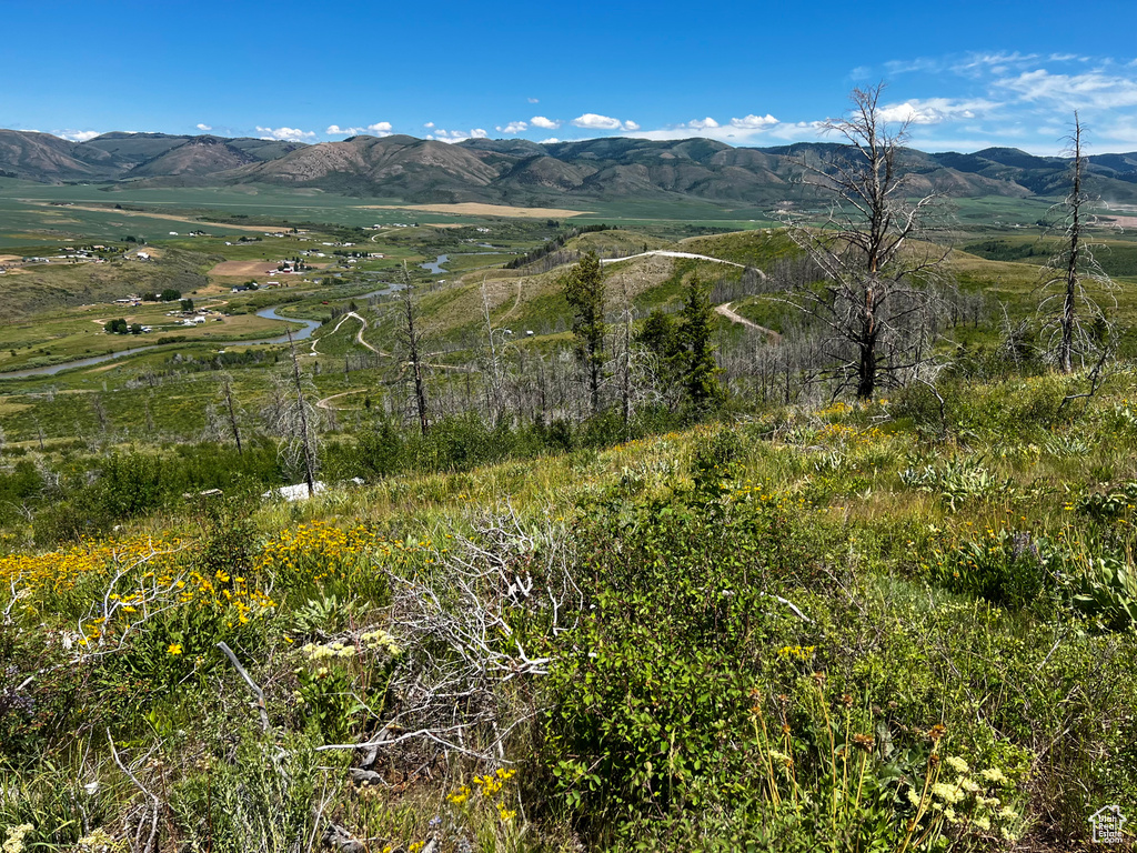 35  LOOKOUT CIR Soda Springs, ID 83276