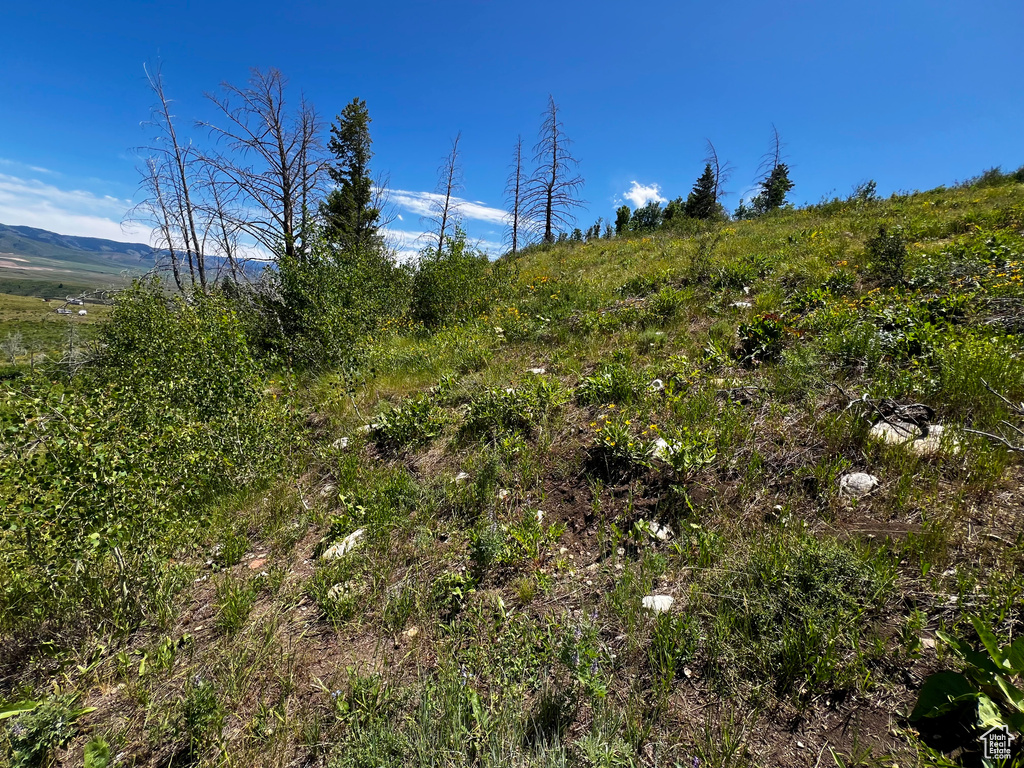 35  LOOKOUT CIR Soda Springs, ID 83276