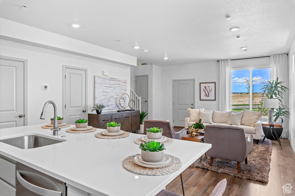 Kitchen featuring dishwasher, dark wood-style floors, light countertops, recessed lighting, and open floor plan