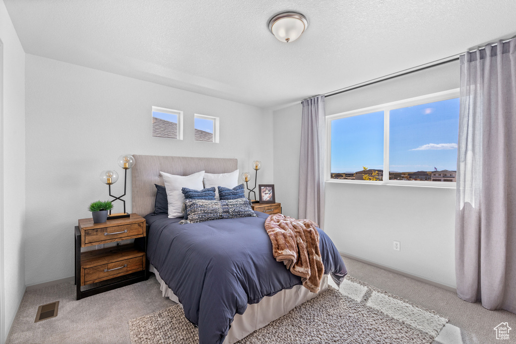 Bedroom featuring carpet floors and a textured ceiling