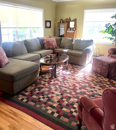 Living room with healthy amount of natural light