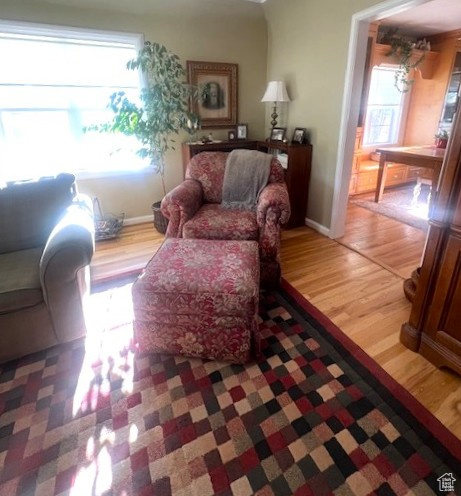 Living room with plenty of natural light and light wood finished floors