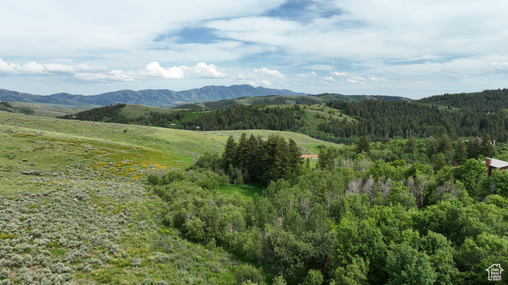  Pocatello, ID 83201