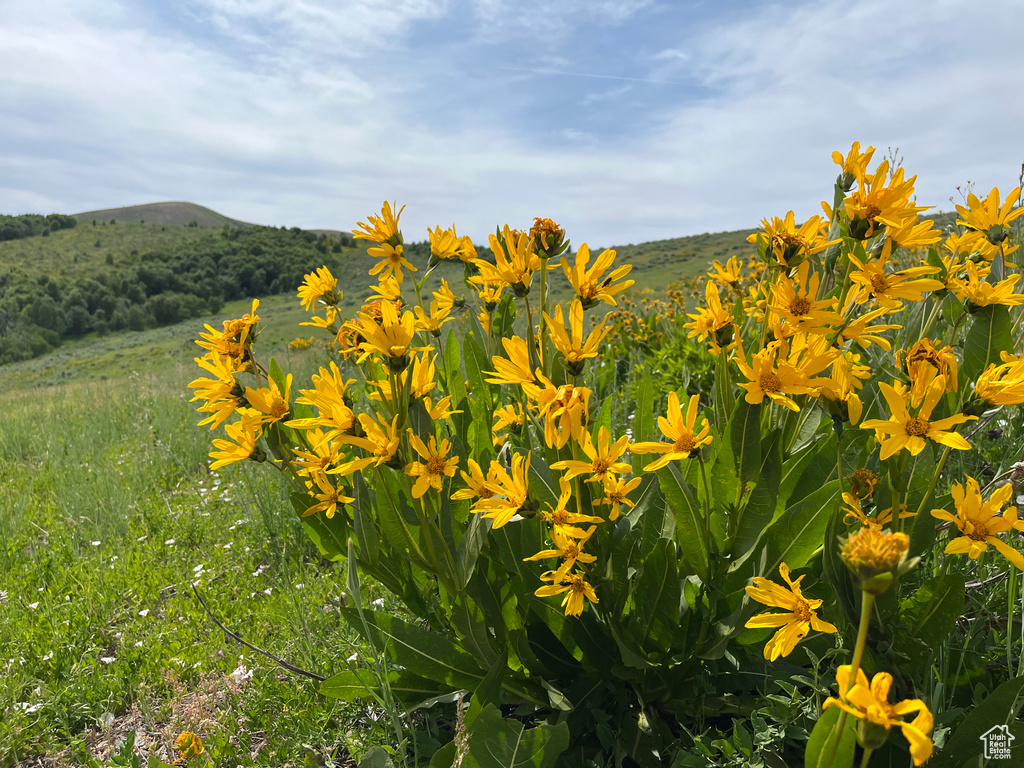  Pocatello, ID 83201