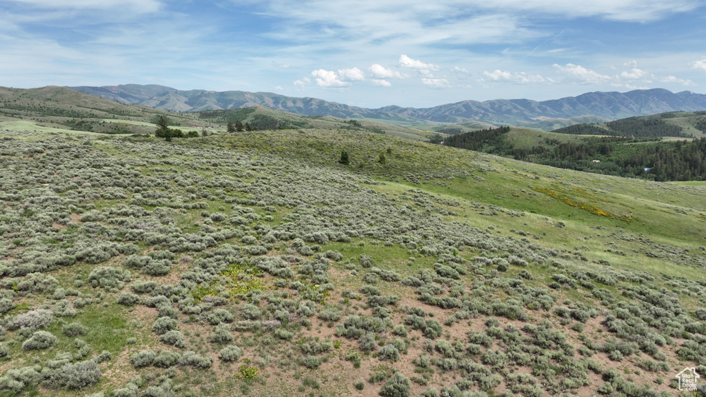  Pocatello, ID 83201