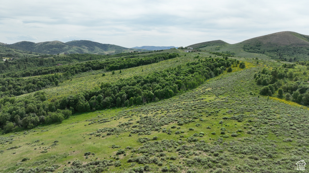  Pocatello, ID 83201