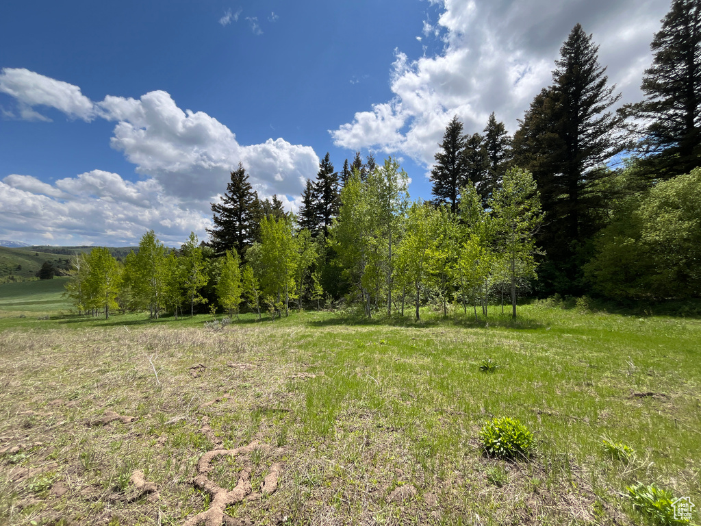  Pocatello, ID 83201