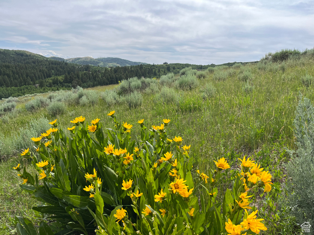  Pocatello, ID 83201
