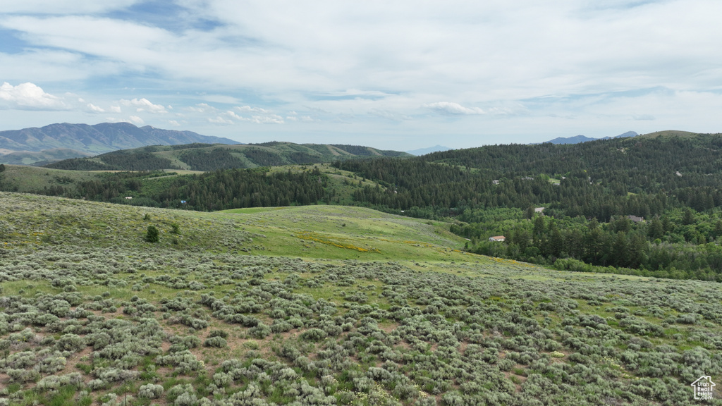  Pocatello, ID 83201