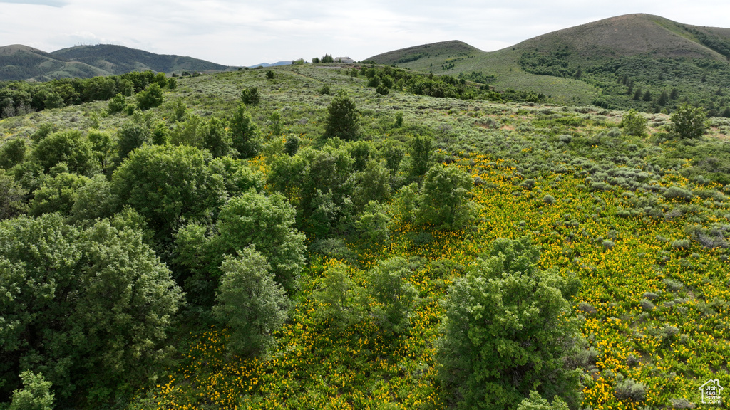  Pocatello, ID 83201