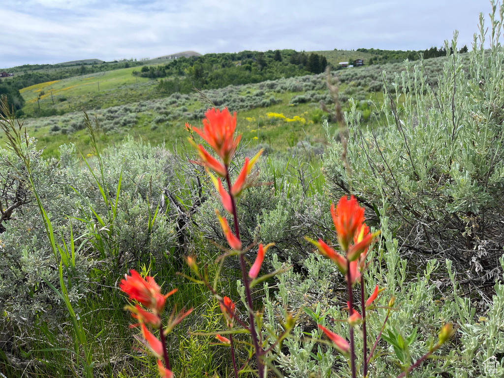  Pocatello, ID 83201