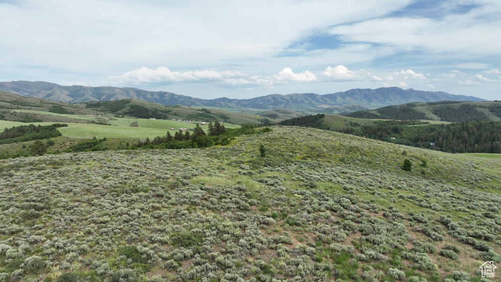  Pocatello, ID 83201