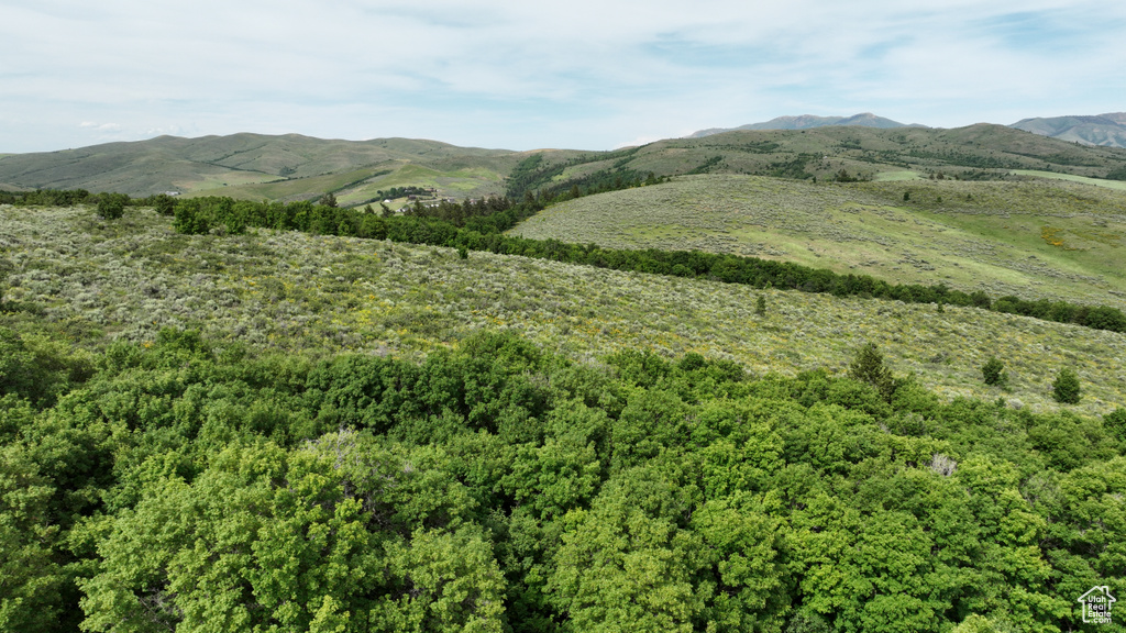  Pocatello, ID 83201