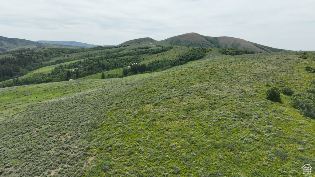  Pocatello, ID 83201