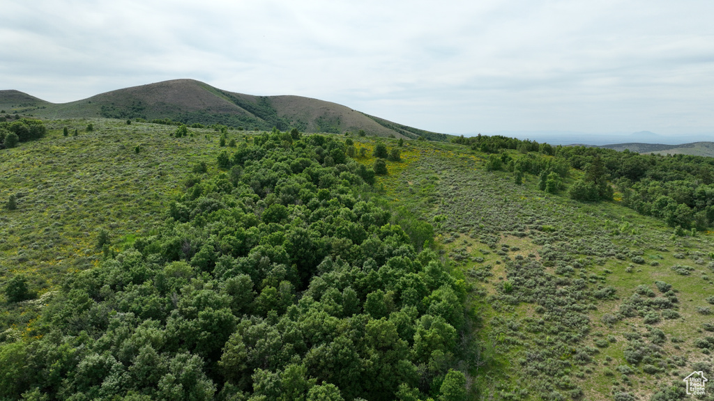  Pocatello, ID 83201