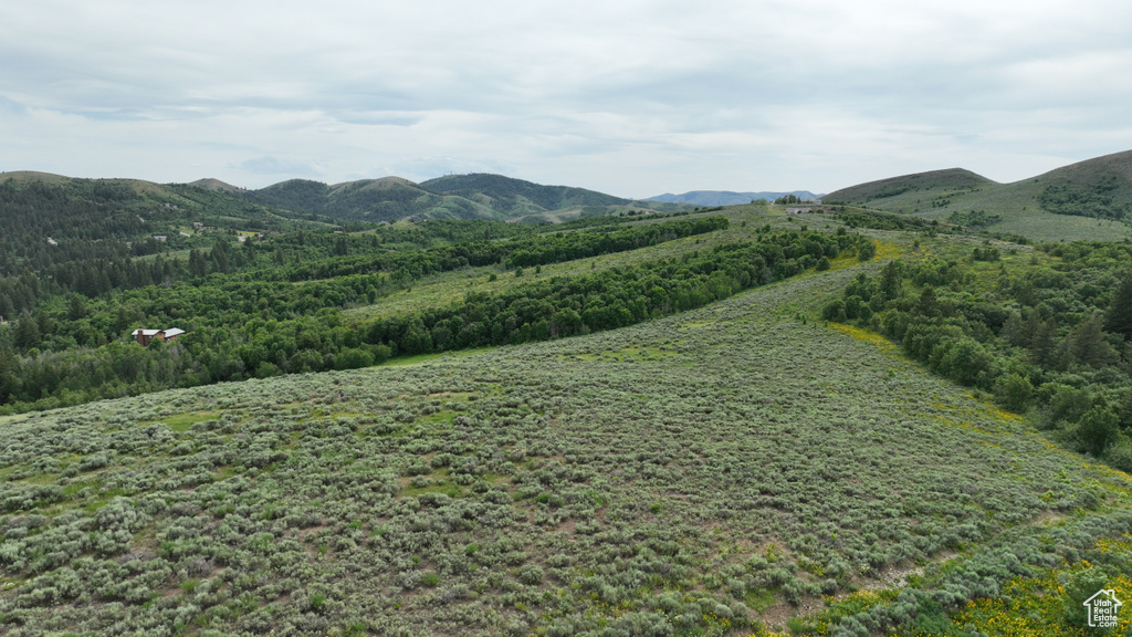  Pocatello, ID 83201