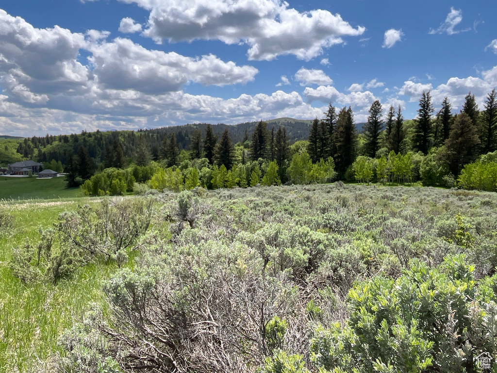  Pocatello, ID 83201