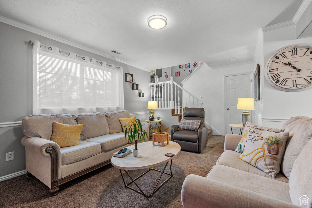Carpeted living area featuring stairs and crown molding