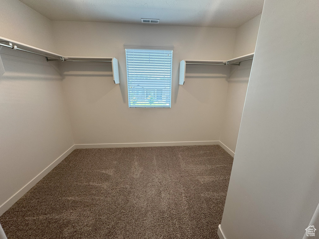 Walk in closet featuring carpet